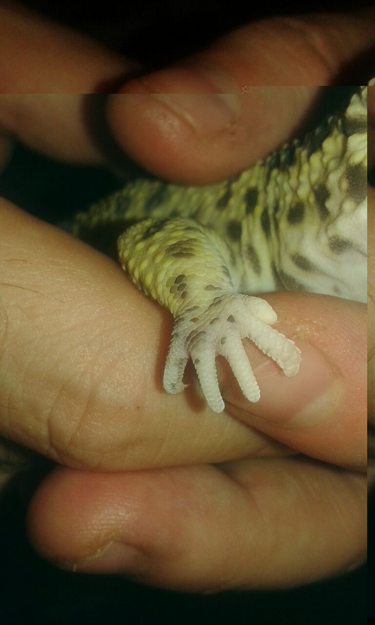 e da qualche giorno che questo ditino e gonfio e non vuole sgonfiarsi