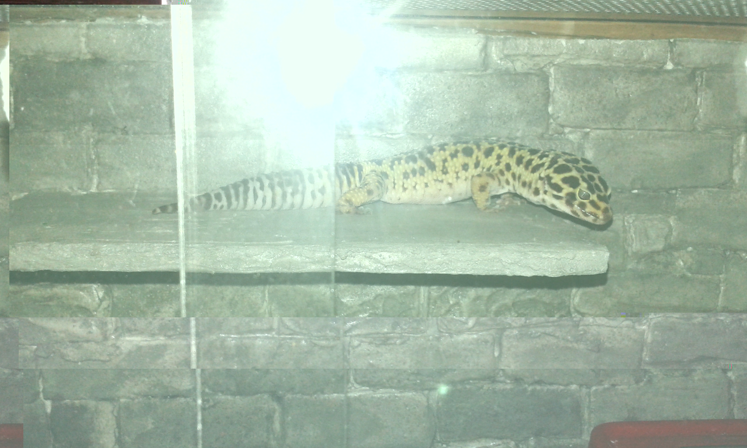 20151120_014345.jpg