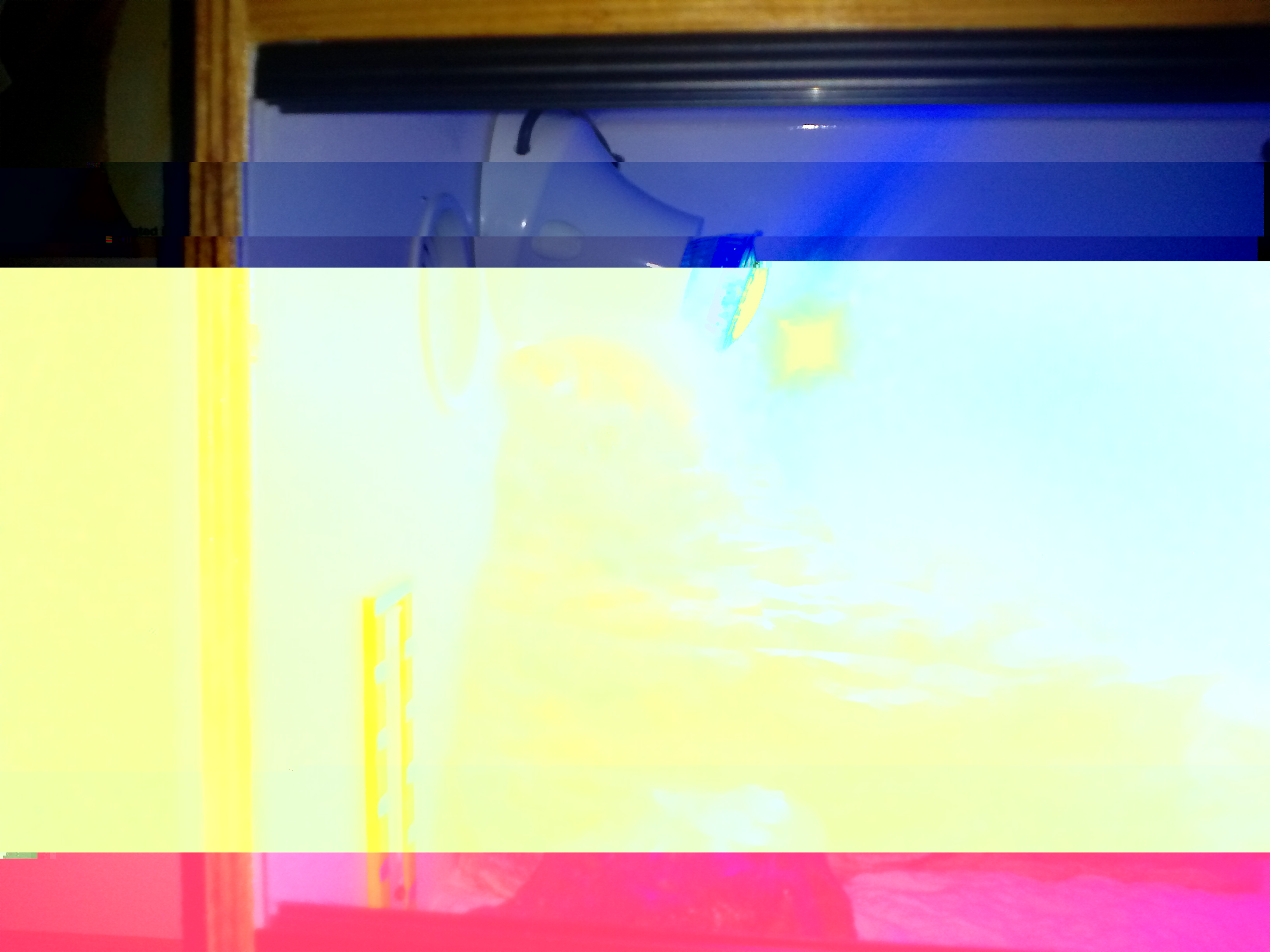 eccola lei sembra in ottima forma