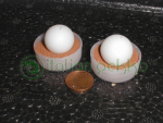 Gehyra marginata eggs.jpg