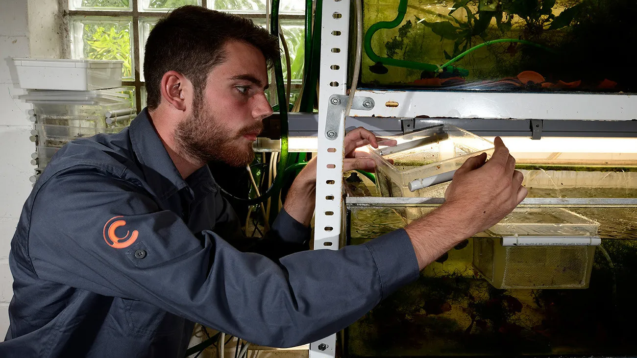 Citizen Conservation - conservazione e allevamento