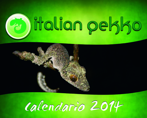 Italian gekko calendario1