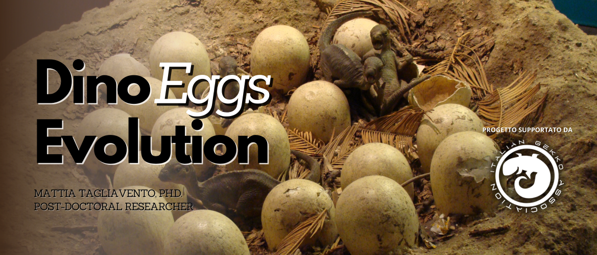 Dino Eggs Evolution