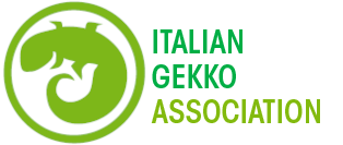 Italian Gekko Association - IGA