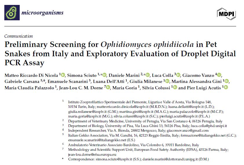 Serpenti di Allevamento: Riusultati preliminari dello Screening per Ofidiomicosi