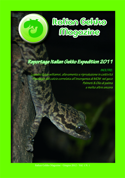 italian gekko magazine n1