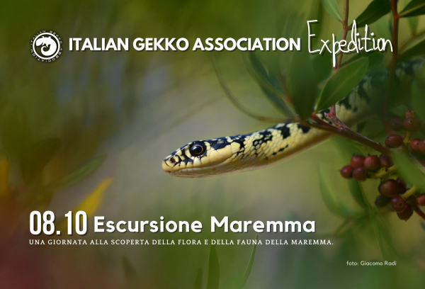 ITALIAN GEKKO EXPEDITION: MAREMMA 2022