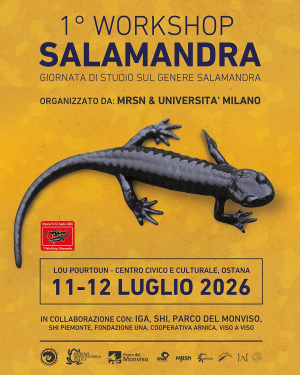 1° WORKSHOP SALAMANDRA - 11 e 12 Luglio, Ostana (CN)