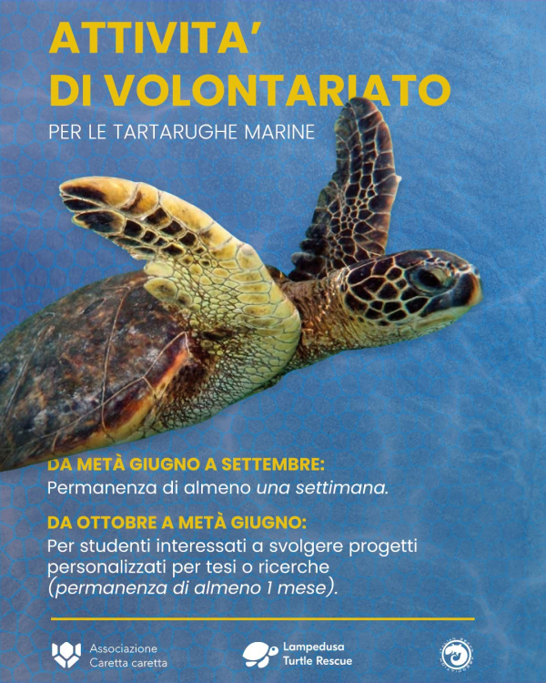 ATTIVITA' DI VOLONTARIATO PER LE TARTARUGHE MARINE