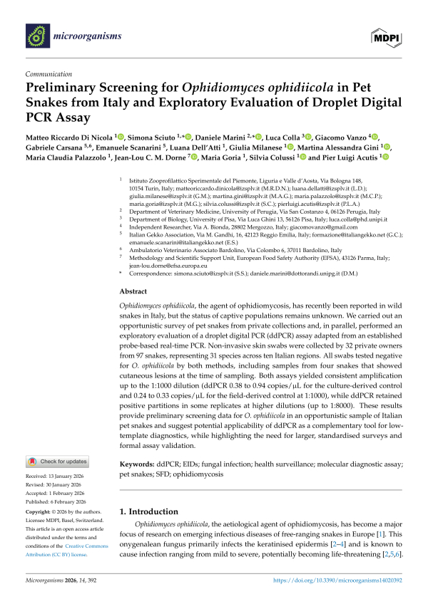 Serpenti di Allevamento: Riusultati preliminari dello Screening per Ofidiomicosi