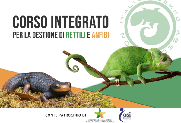 Corso integrato per la gestione di rettili e anfibi