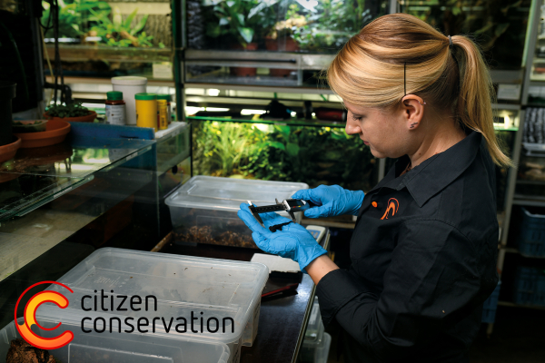 Citizen Conservation: una realtà per la conservazione di rettili, anfibi e non solo