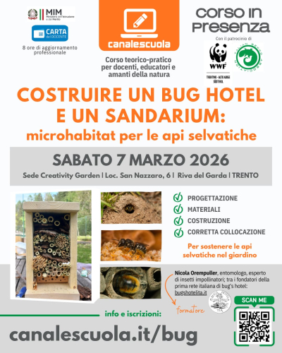 Costruire un Bug Hotel e un Sandarium: microhabitat per le api selvatiche - 07/03/26 Riva del Garda (TN)
